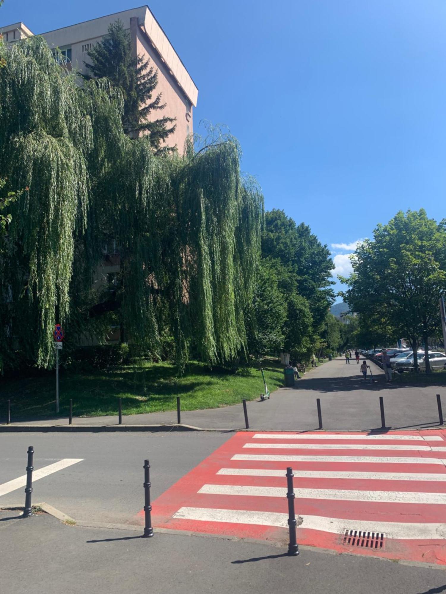 Victoriei Boulevard Private Apartment Brašov Exteriér fotografie